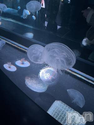 ƲХ顦clubTiara(ƥ) Τ1015̥֥1015 2124ʬΥ֥