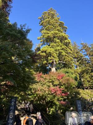 ƲХ顦clubTiara(ƥ) Τ119̥֥119 2104ʬΥ֥