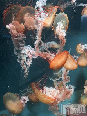 ƲХ顦clubTiara(ƥ) Τ1128̥֥1128 2115ʬΥ֥