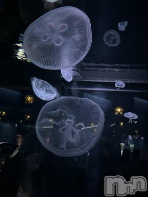 ��Ʋ����Х��顦�����clubTiara(�ƥ�����) ��Τ�2��5���̥�֥�����🩵🪼🩵��