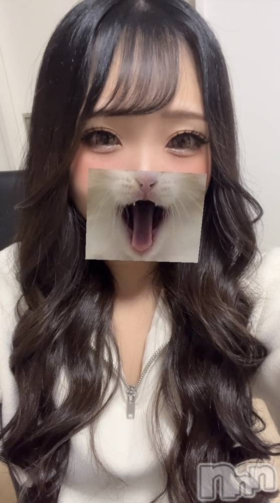 ƲХ顦JARDIN CLUB(󥯥) Τ1011̥֥֤