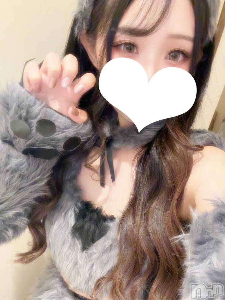 ƲХ顦JARDIN CLUB(󥯥) Τ111̥֥֥ϥ󥳥ץ2ܡ