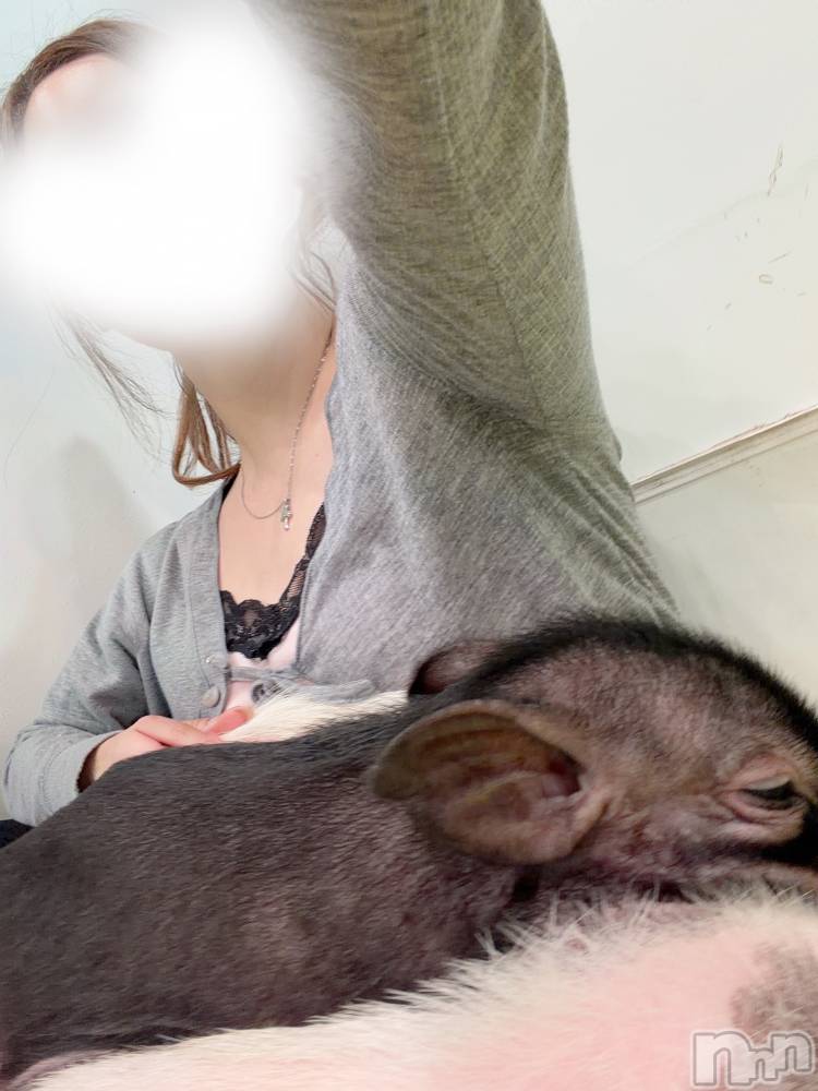 新潟メンズエステTHE PREMIUM SPA(ザ プレミアムスパ) 天乃みみ(28)の9月24日写メブログ「ぶた🐖⸒⸒⸒⸒」