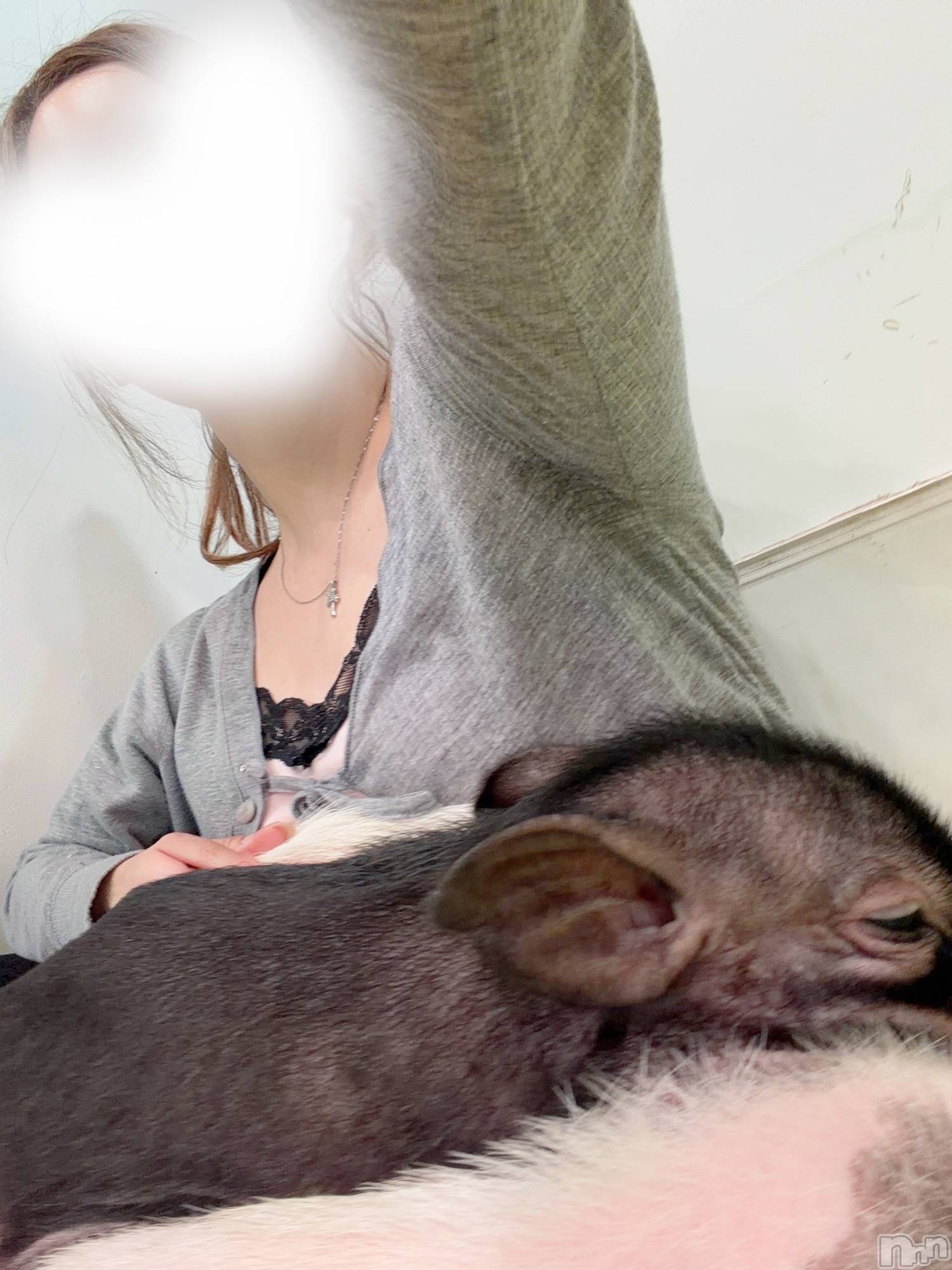 新潟メンズエステTHE PREMIUM SPA(ザ プレミアムスパ)天乃みみ(28)の2026年9月24日写メブログ「ぶた🐖⸒⸒⸒⸒」