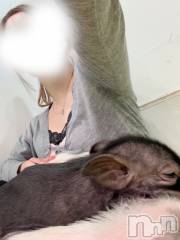 新潟メンズエステTHE PREMIUM SPA(ザ プレミアムスパ) 天乃みみ(28)の9月24日写メブログ「ぶた🐖⸒⸒⸒⸒」