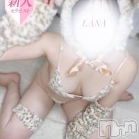 【新人】らな