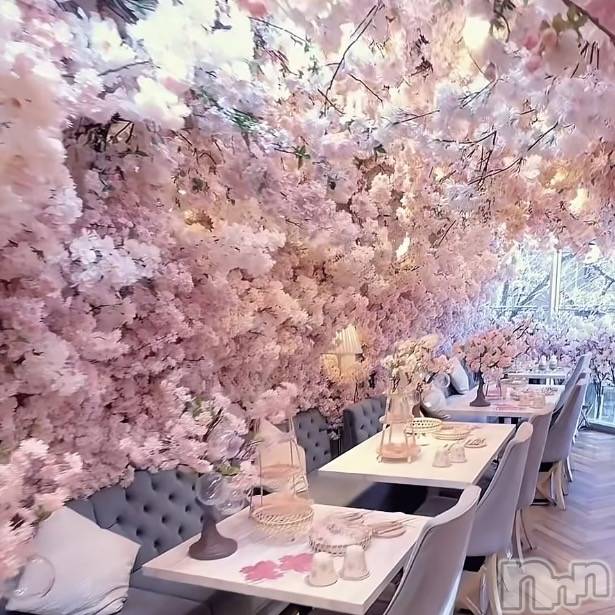 長岡デリヘルMimi(ミミ) れいな(26)の3月8日写メブログ「来週の出勤予定☁️🤍」