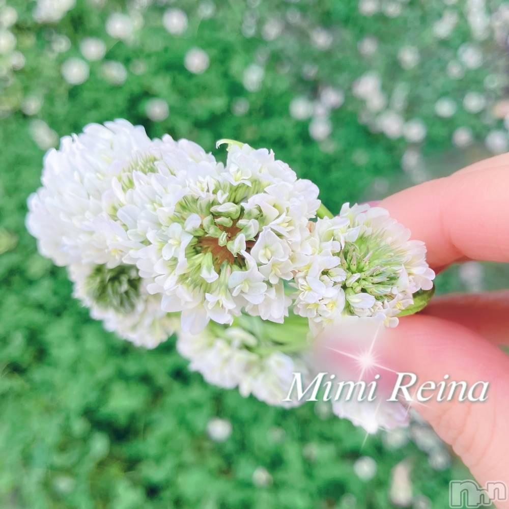 長岡デリヘルMimi(ミミ) れいな(26)の5月31日写メブログ「来週の出勤予定☁️🤍」