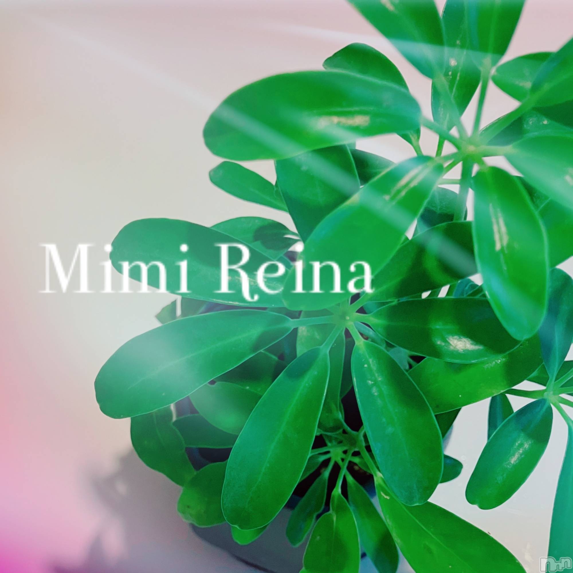 長岡デリヘルMimi(ミミ)新人れいな★月間RANK10位★(26)の2026年1月26日写メブログ「癒し」