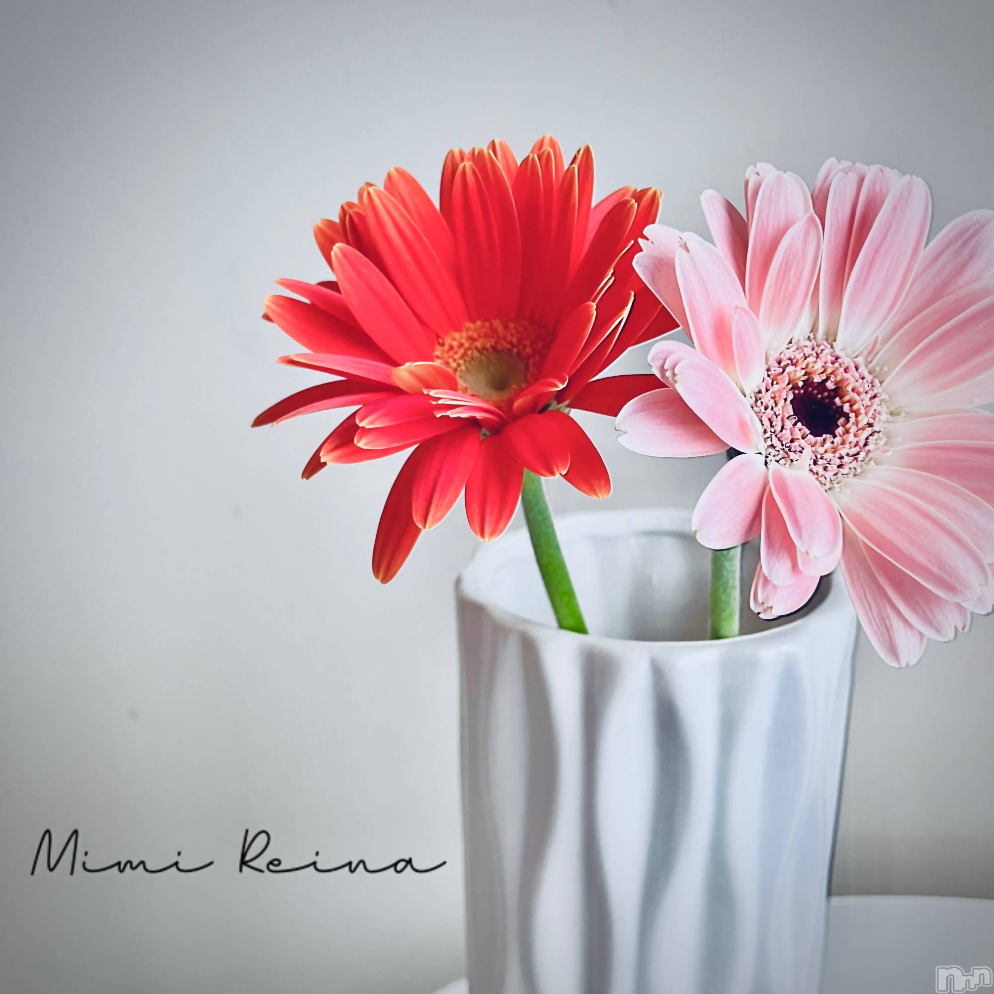 長岡デリヘルMimi(ミミ)れいな(26)の2026年4月13日写メブログ「今週の出勤予定☁️🤍」