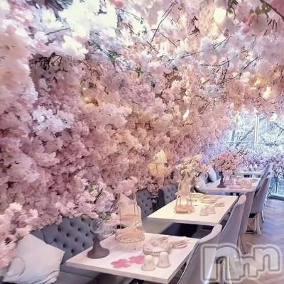 長岡デリヘル Mimi(ミミ) れいな(26)の3月8日写メブログ「来週の出勤予定☁️🤍」