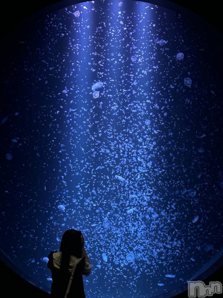 ��Į����Х��顦�����Lounge R Style(�饦�󥸥����륹������) �Ҥ���12��22���̥�֥����֥�����å����Ϥ�������ʤ�����ɤҤ��Ϥ��������