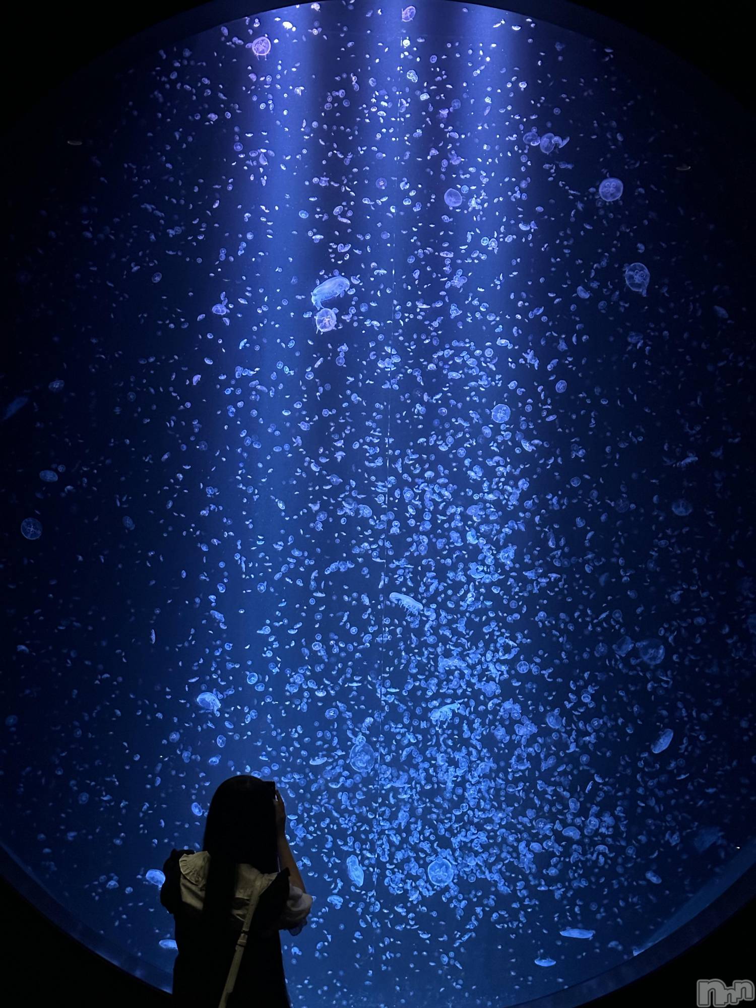 ��Į����Х��顦�����Lounge R Style(�饦�󥸥����륹������) ��2025ǯ12��22���̥�֥����֥�����å����Ϥ�������ʤ�����ɤҤ��Ϥ��������