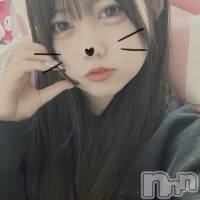 �Ҥ��(21) ��Ĺ150cm����Į����Х��顦����� Lounge R Style(�饦�󥸥����륹������)���ҡ�