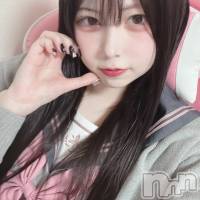 �Ҥ��(22) ��Ĺ150cm����Į����Х��顦����� Lounge R Style(�饦�󥸥����륹������)���ҡ�