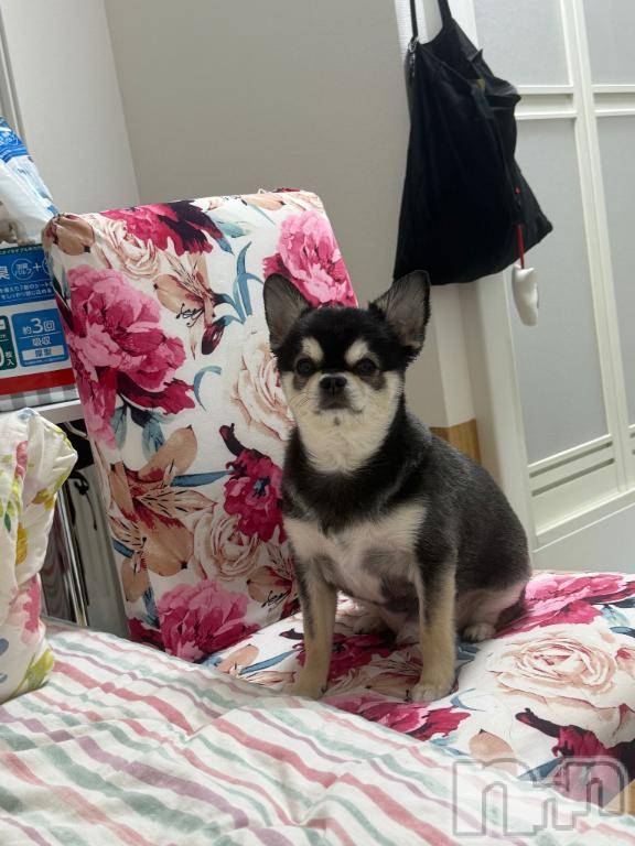 新潟ソープ新潟バニーコレクション(ニイガタバニーコレクション) ハンナ(22)の2月28日写メブログ「ありがとうの嵐～！！」