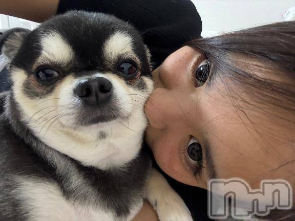 新潟ソープ新潟バニーコレクション(ニイガタバニーコレクション)ハンナ(22)の2026年2月24日写メブログ「記憶力フル稼働！たつろう兄さん🩷」