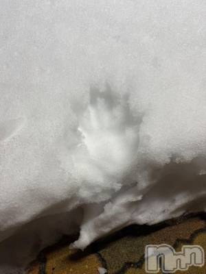 新潟ソープ 新潟バニーコレクション(ニイガタバニーコレクション) ハンナ(22)の1月29日写メブログ「雪に残したはんなの手形🖐️」