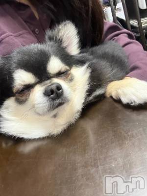 新潟ソープ 新潟バニーコレクション(ニイガタバニーコレクション) ハンナ(22)の2月1日写メブログ「ありがとう♡」