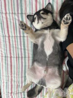 新潟ソープ 新潟バニーコレクション(ニイガタバニーコレクション) ハンナ(22)の2月25日写メブログ「北海道のお兄さん❄️」