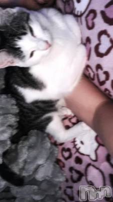 新潟ソープ 新潟バニーコレクション(ニイガタバニーコレクション) オボロ(22)の11月25日写メブログ「…おちえて🥺🥺」