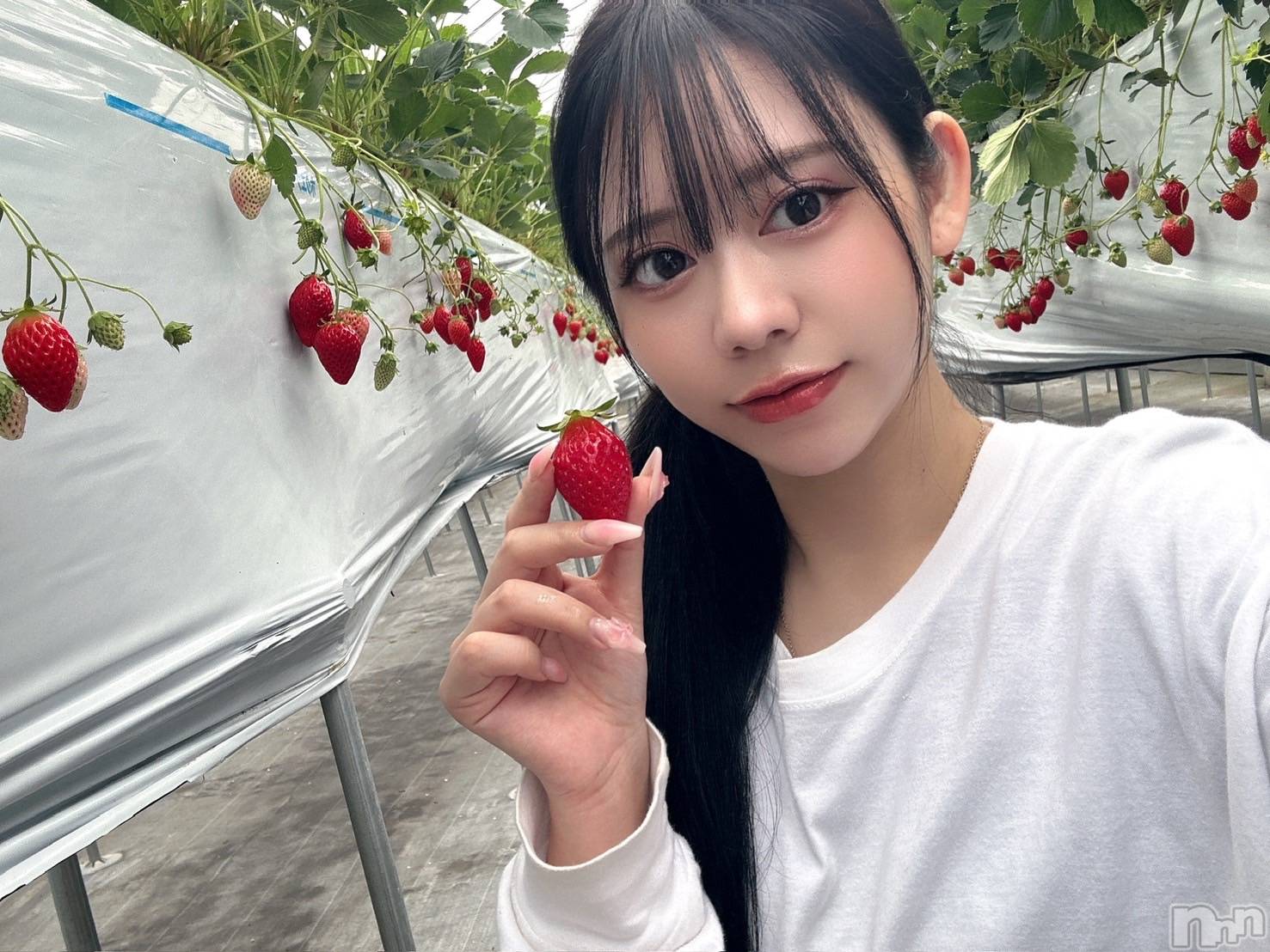 土田たお