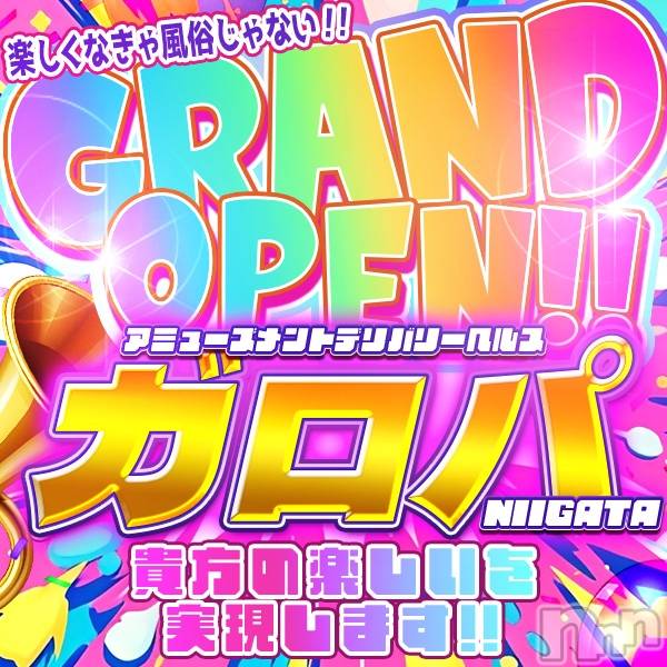新潟デリヘル(アミューズメントデリバリーヘルスガロパ)の2025年11月27日お店速報「地元の美女と今だけデリ60が12,000円♪」