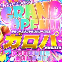 新潟デリヘル アミューズメントデリバリーヘルス  ガロパ(アミューズメントデリバリーヘルスガロパ)の11月27日お店速報「地元の美女と今だけデリ60が12,000円♪」