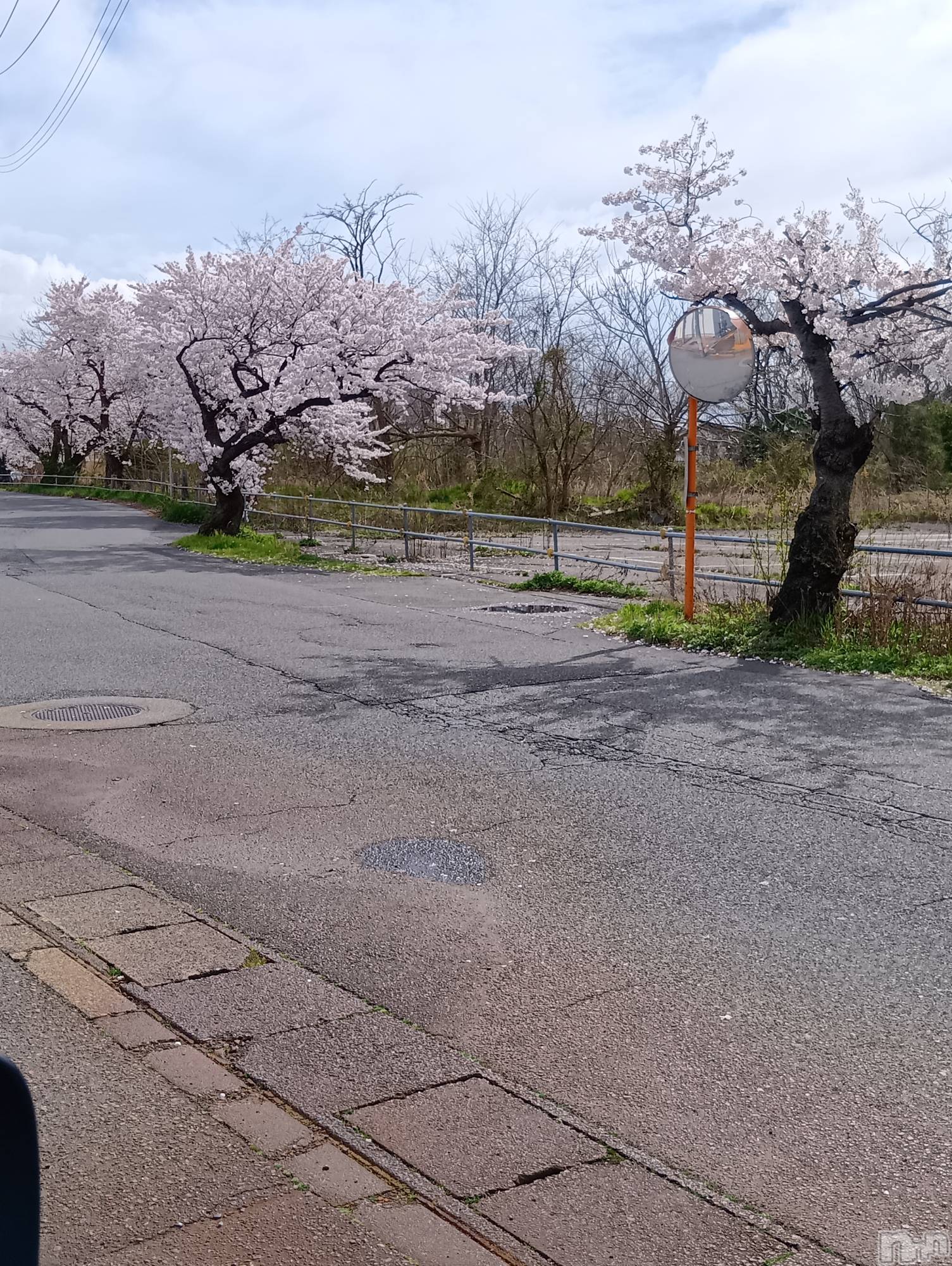 新潟デリヘルデリヘル新潟(デリヘルニイガタ)体験入店/ゆな(27)の2026年4月9日写メブログ「桜🌸綺麗」