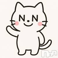 Nキャット