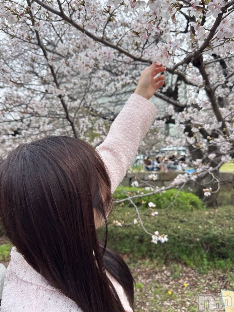 ���ᥭ��Х��顦�����CLUB ASLI(����֥�����) ������4��3���̥�֥�����4���🌸🌸🌸��