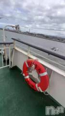 新潟デリヘルGRACE　新潟(グレース　ニイガタ) 【新人】吉乃（よしの）(35)の11月10日動画「明日は残り1枠です🙏💕」