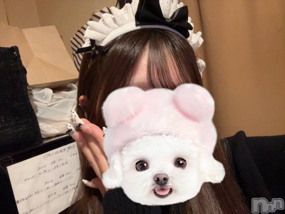 ����������ʥå��������륺�С�Girls Bar Bacchus�������Ź(�Хå��������ޥ��ƥ�) ���ʤ�2��14���̥�֥����֥��٥��‎🤍��