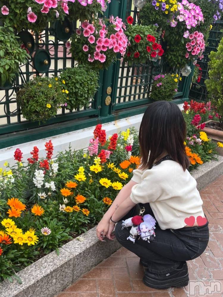 ��ˬ����Х��顦����֥���� �ץ���� ��ˬ(����� �ץ���� ����) ���� �ߤʤȤ�9��27���̥�֥����ֽ��ޤ���❣️��