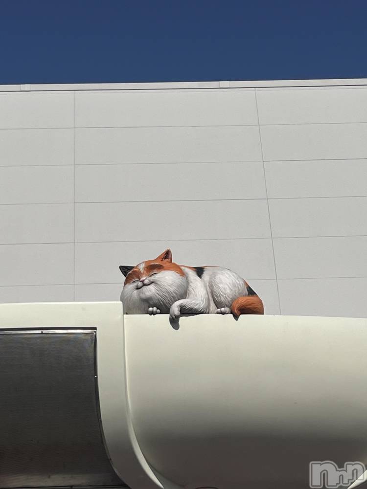 ��ˬ����Х��顦����֥���� �ץ���� ��ˬ(����� �ץ���� ����) ���� �ߤʤȤ�3��31���̥�֥�����❣️��