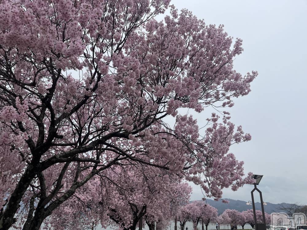 ��ˬ����Х��顦����֥���� �ץ���� ��ˬ(����� �ץ���� ����) ���� �ߤʤȤ�4��7���̥�֥�����❣️��