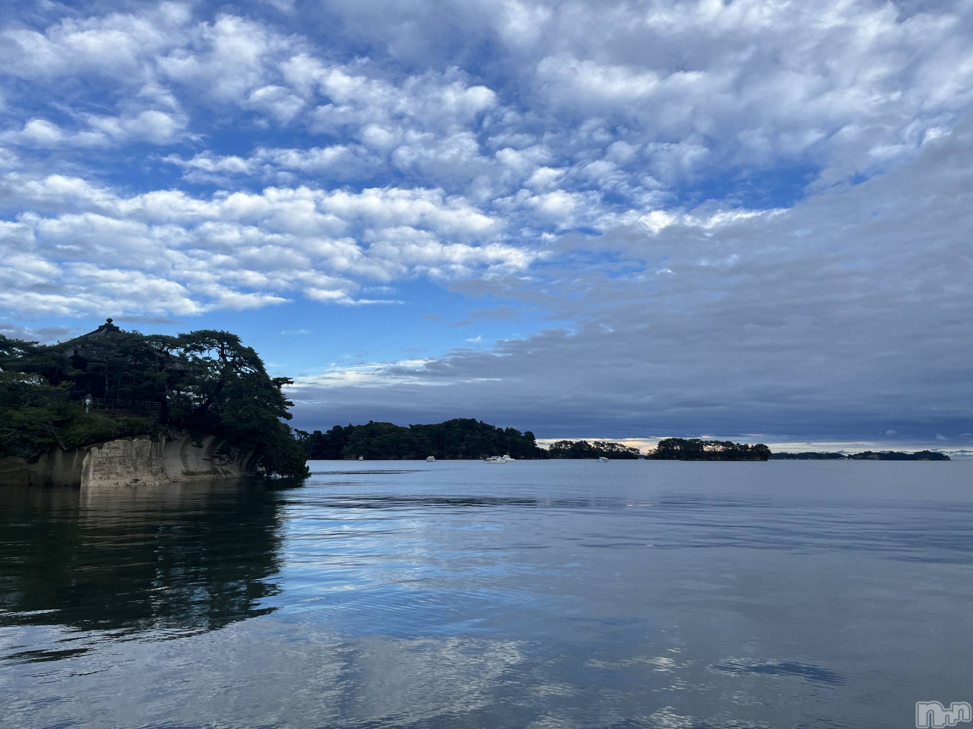 ��ˬ����Х��顦����֥���� �ץ���� ��ˬ(����� �ץ���� ����) ��2025ǯ9��27���̥�֥�����🦋��