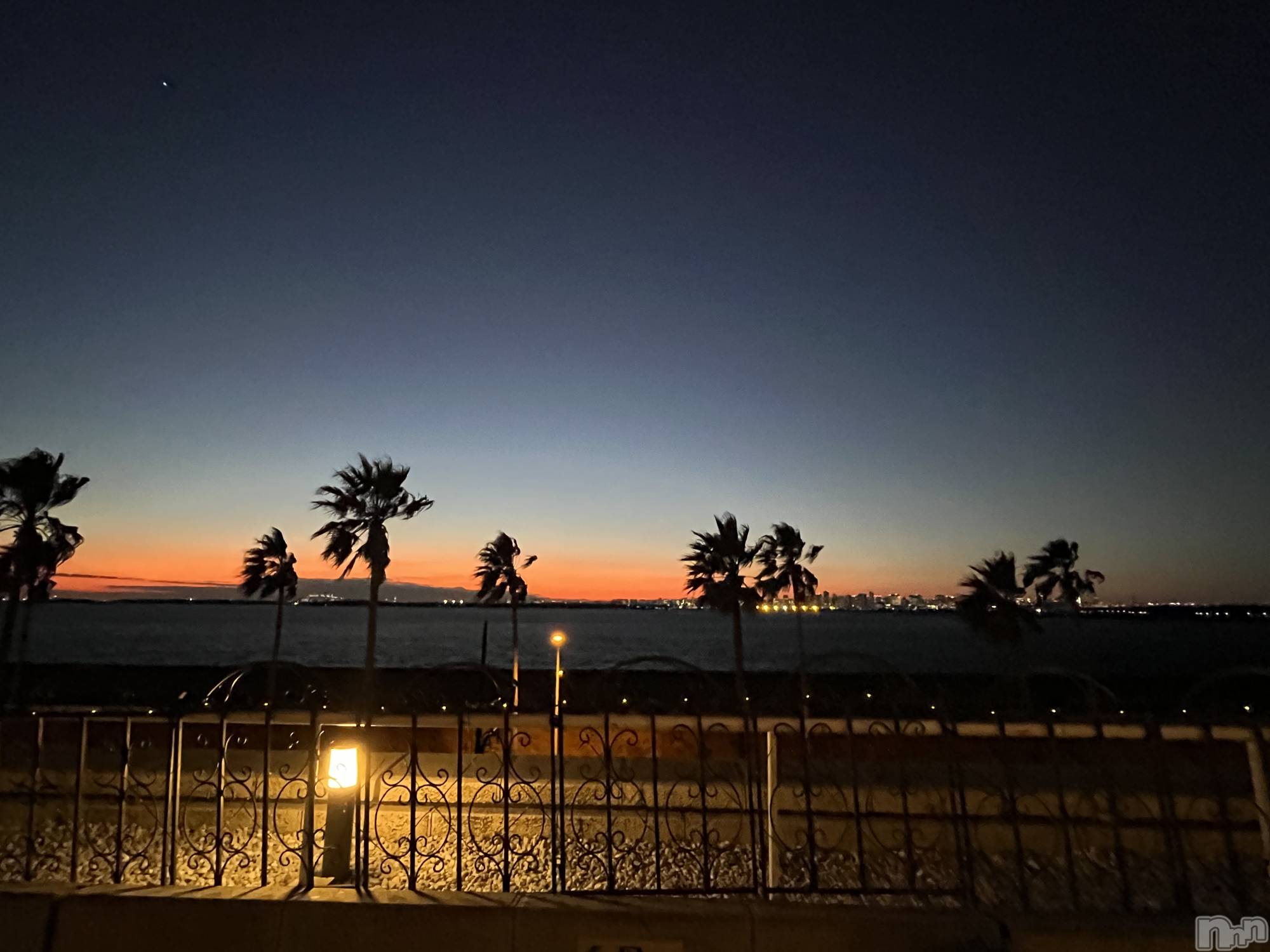 ��ˬ����Х��顦����֥���� �ץ���� ��ˬ(����� �ץ���� ����) ��2025ǯ10��24���̥�֥�����🩶��