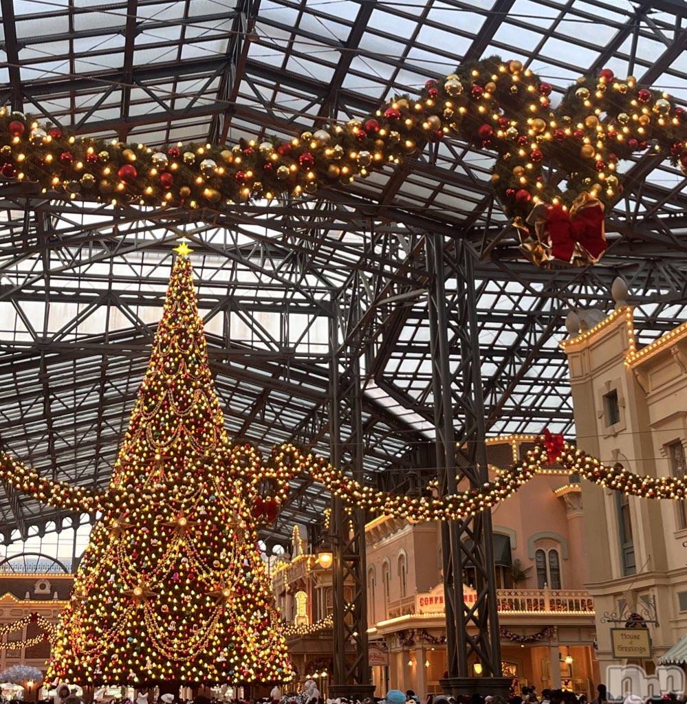 ��ˬ����Х��顦����֥���� �ץ���� ��ˬ(����� �ץ���� ����) ��2025ǯ12��19���̥�֥�����🎄��