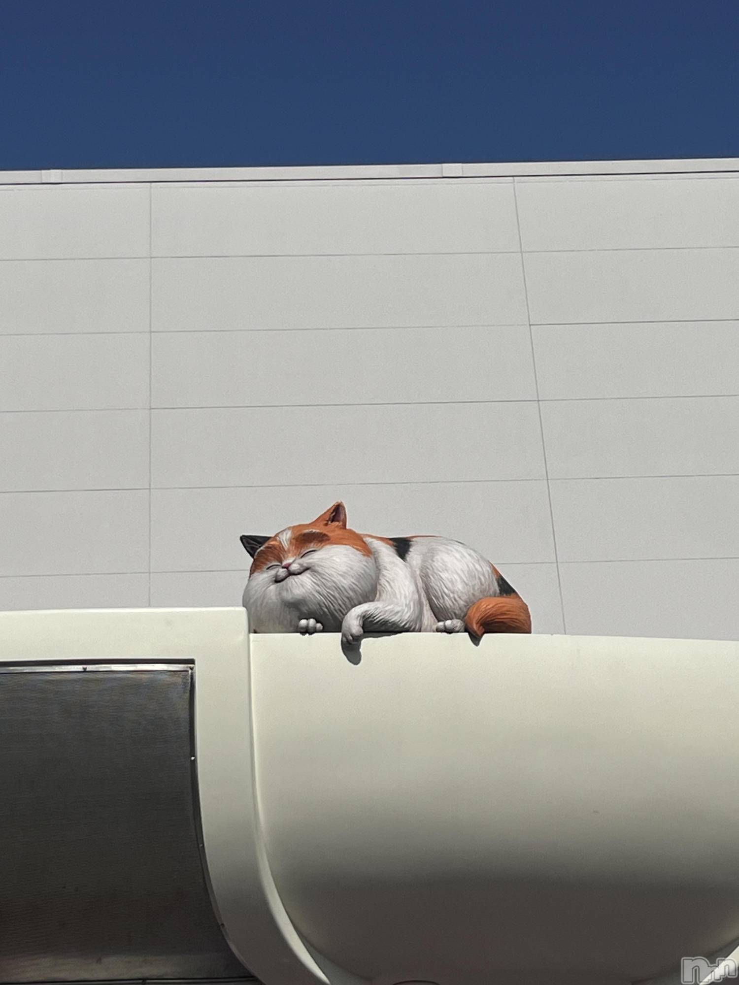 ��ˬ����Х��顦����֥���� �ץ���� ��ˬ(����� �ץ���� ����) ��2026ǯ3��31���̥�֥�����❣️��