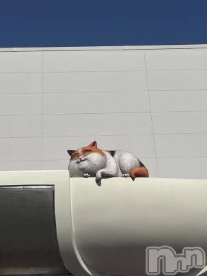 ��ˬ����Х��顦����֥���� �ץ���� ��ˬ(����� �ץ���� ����) ���� �ߤʤȤ�3��31���̥�֥�����❣️��