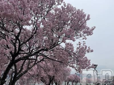 ��ˬ����Х��顦����֥���� �ץ���� ��ˬ(����� �ץ���� ����) ���� �ߤʤȤ�4��7���̥�֥�����❣️��