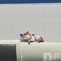 ��ˬ����Х��顦����� ����� �ץ���� ��ˬ(����� �ץ���� ����) ���� �ߤʤȤ�3��31���̥�֥�����❣️��