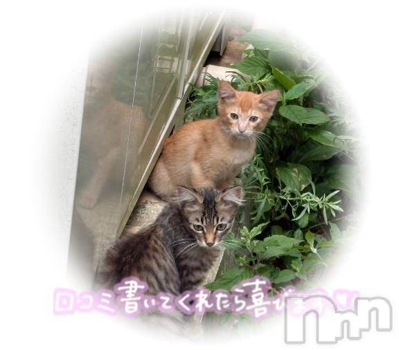 新潟ソープ新潟バニーコレクション(ニイガタバニーコレクション) リリカ(24)の10月12日写メブログ「☔️」