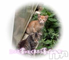 新潟ソープ新潟バニーコレクション(ニイガタバニーコレクション) リリカ(24)の10月12日写メブログ「☔️」