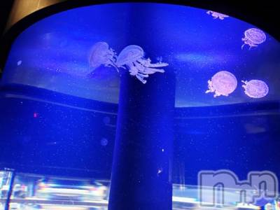 新潟ソープ 新潟バニーコレクション(ニイガタバニーコレクション) リリカ(24)の1月16日写メブログ「[お題]from:カッパの子さん」