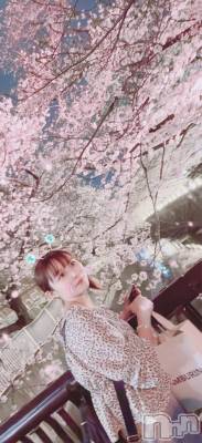 新潟ソープ 新潟バニーコレクション(ニイガタバニーコレクション) リリカ(24)の4月9日写メブログ「🌼到着🌼」