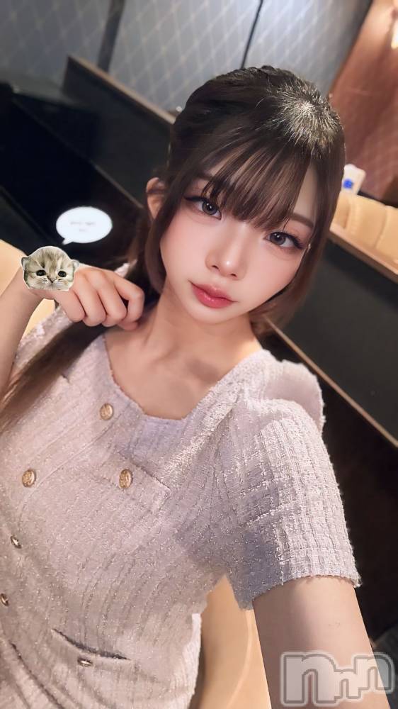 ĮХ顦Daphne(ե) 椤116̥֥֤🫓