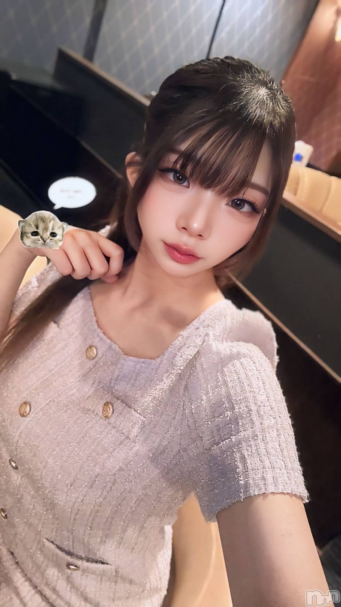 ĮХ顦Daphne(ե) 2025ǯ116̥֥֤🫓