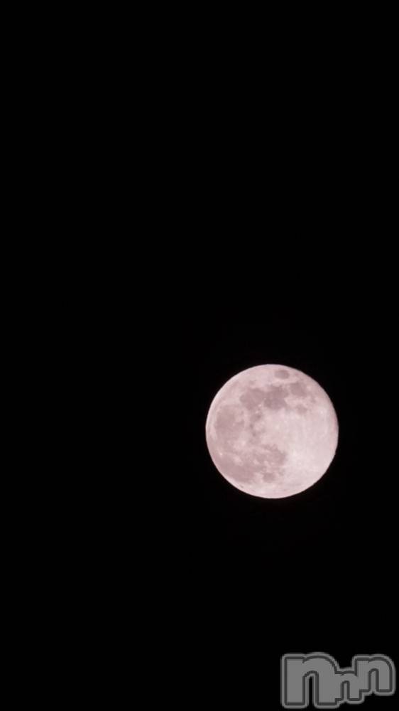 ĮХ顦Daphne(ե) ƣ125ִ̥֥🐰🌕❄️